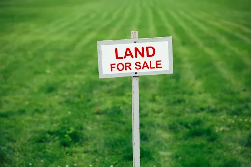 What You Should Know Before Buying Undeveloped Land