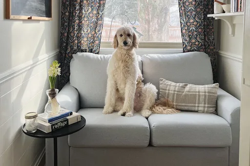 easy moves to fix your living room