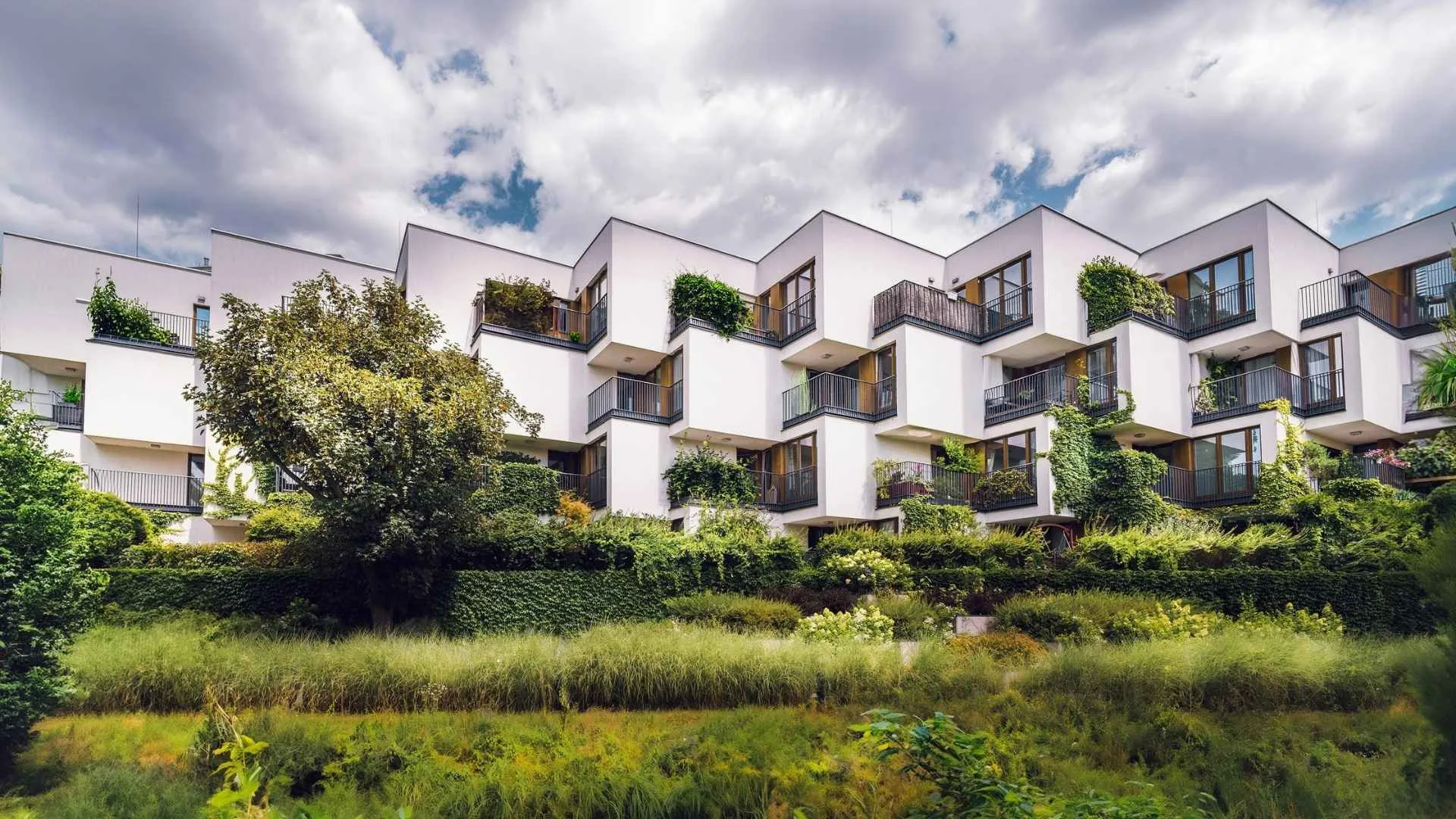 Green Building Certification and Real Estate Value