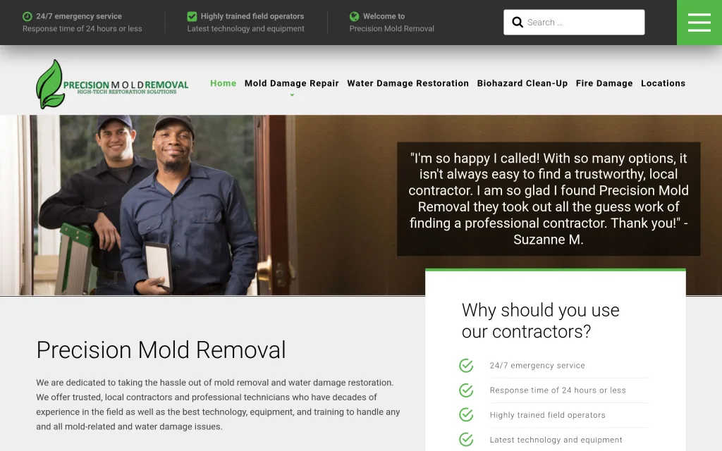 Precision Mold Removal - Best for Residential and Commercial Mold Remediation