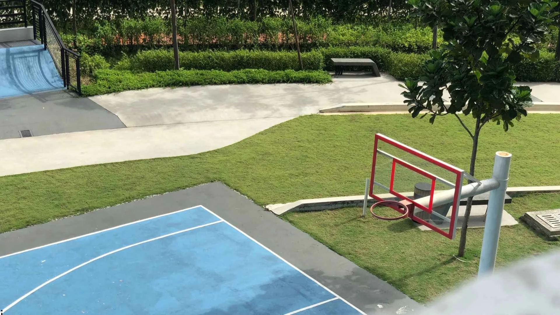 Home Basketball Setup