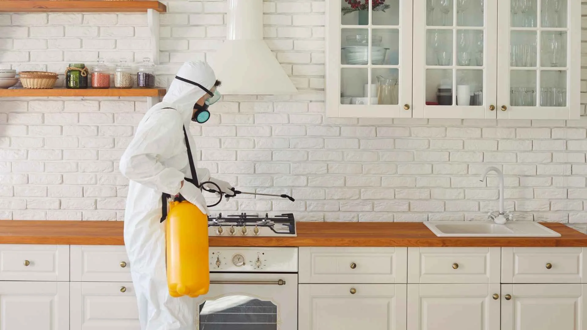 Modern Pest Prevention Techniques for Indianapolis Homes