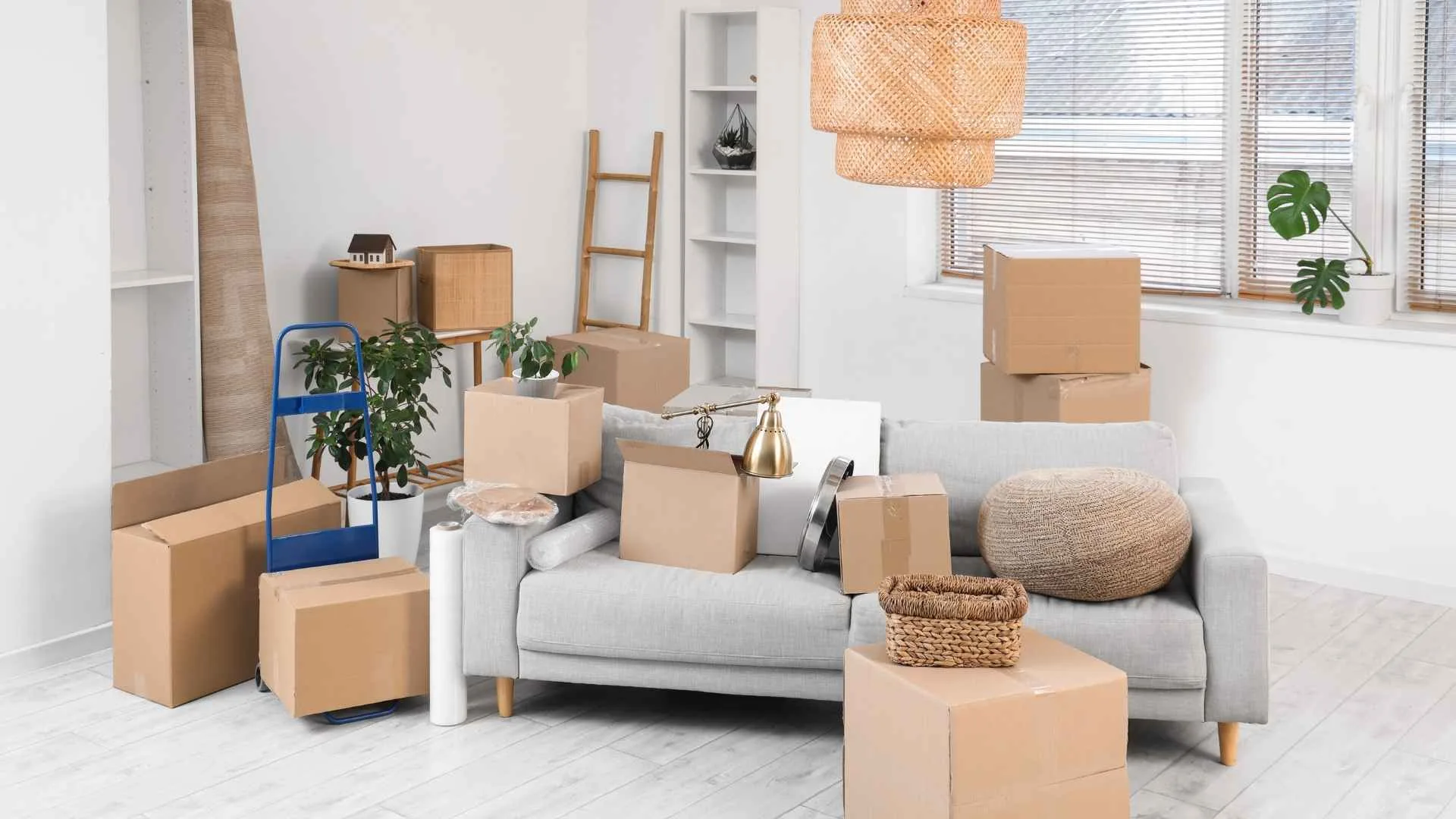 Seamless and Stylish Home Relocation