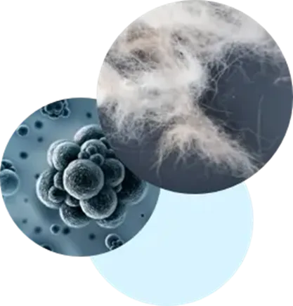 Improving Indoor Air Quality and Comfort with Modern HVAC Systems