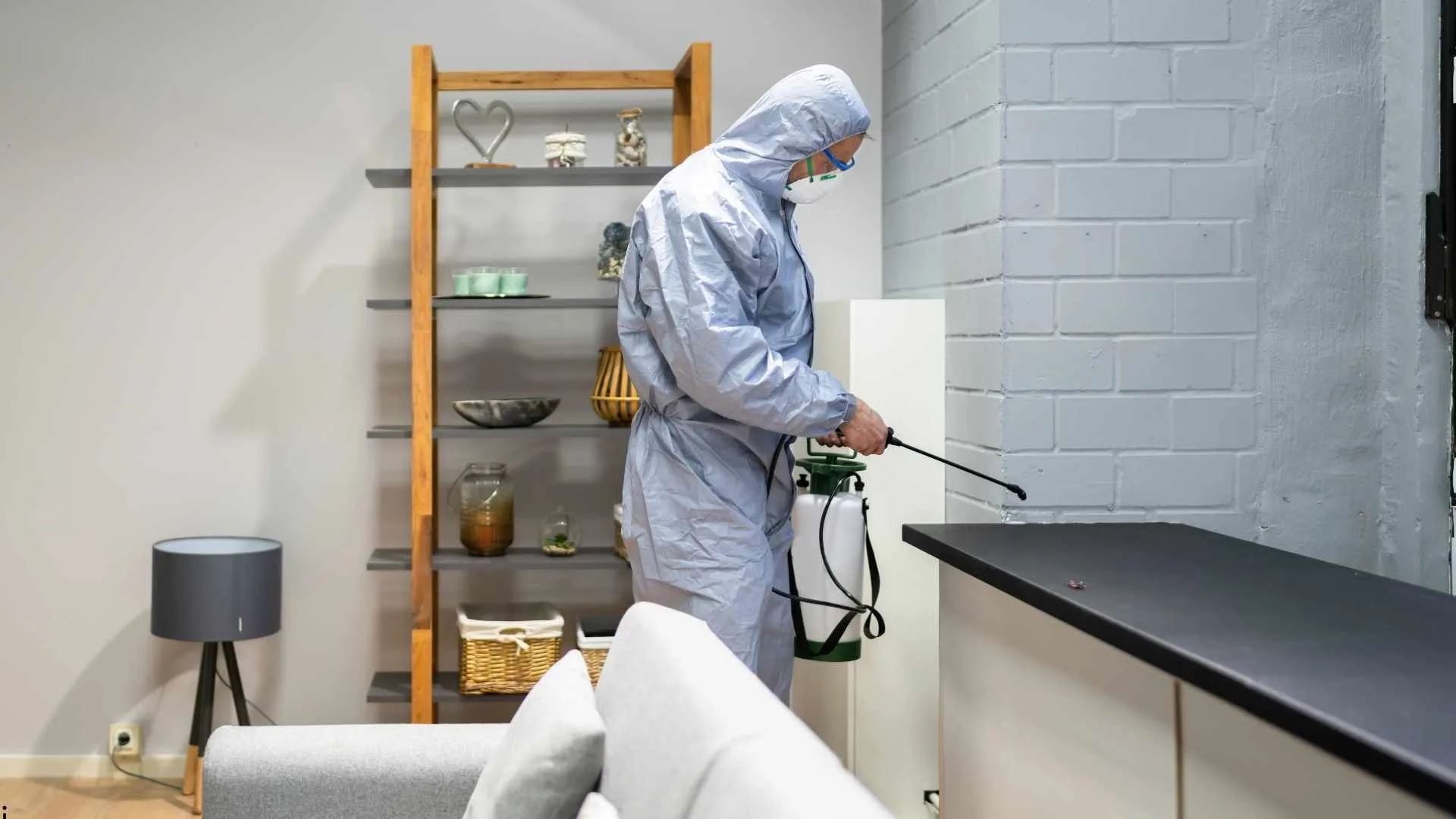 How Early Pest Detection Can Prevent Costly Home Repairs