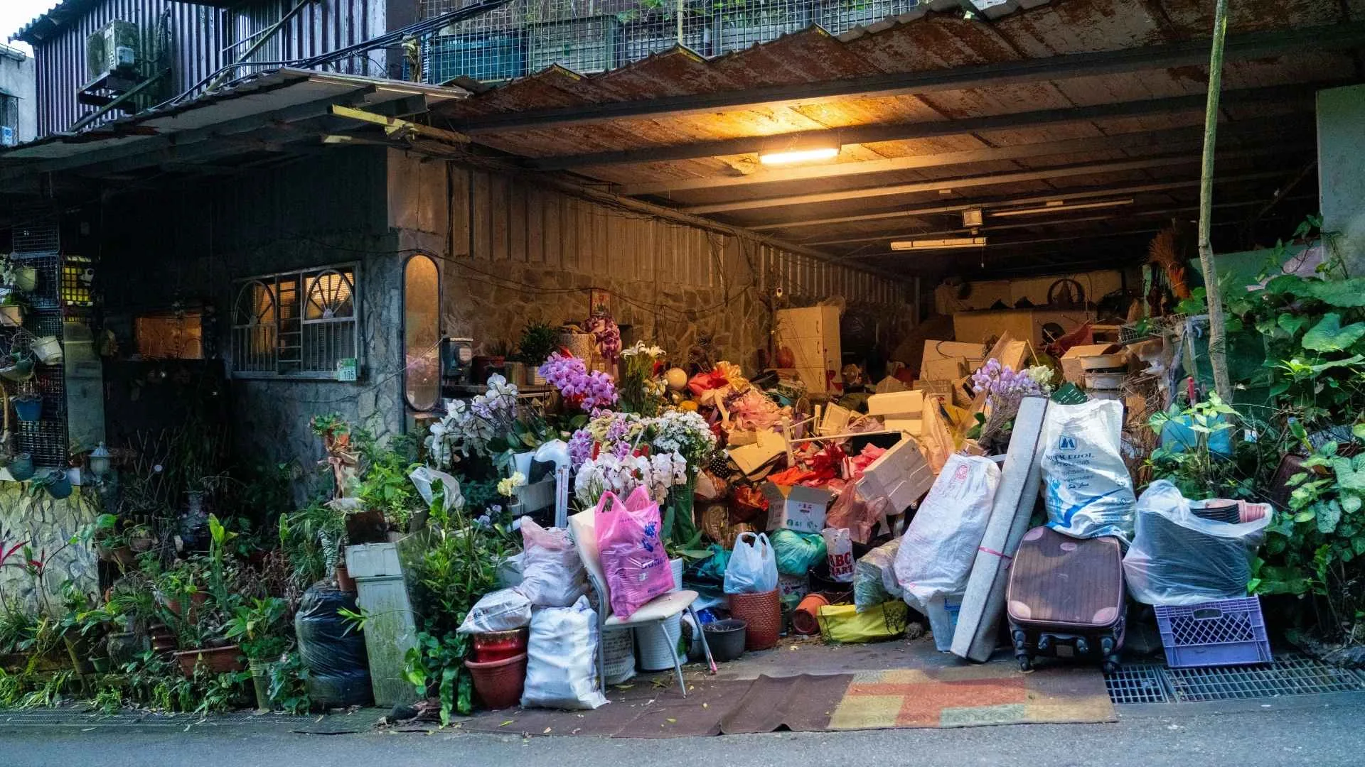 Why Exterior Clutter Can Create Long-Term Pest Problems