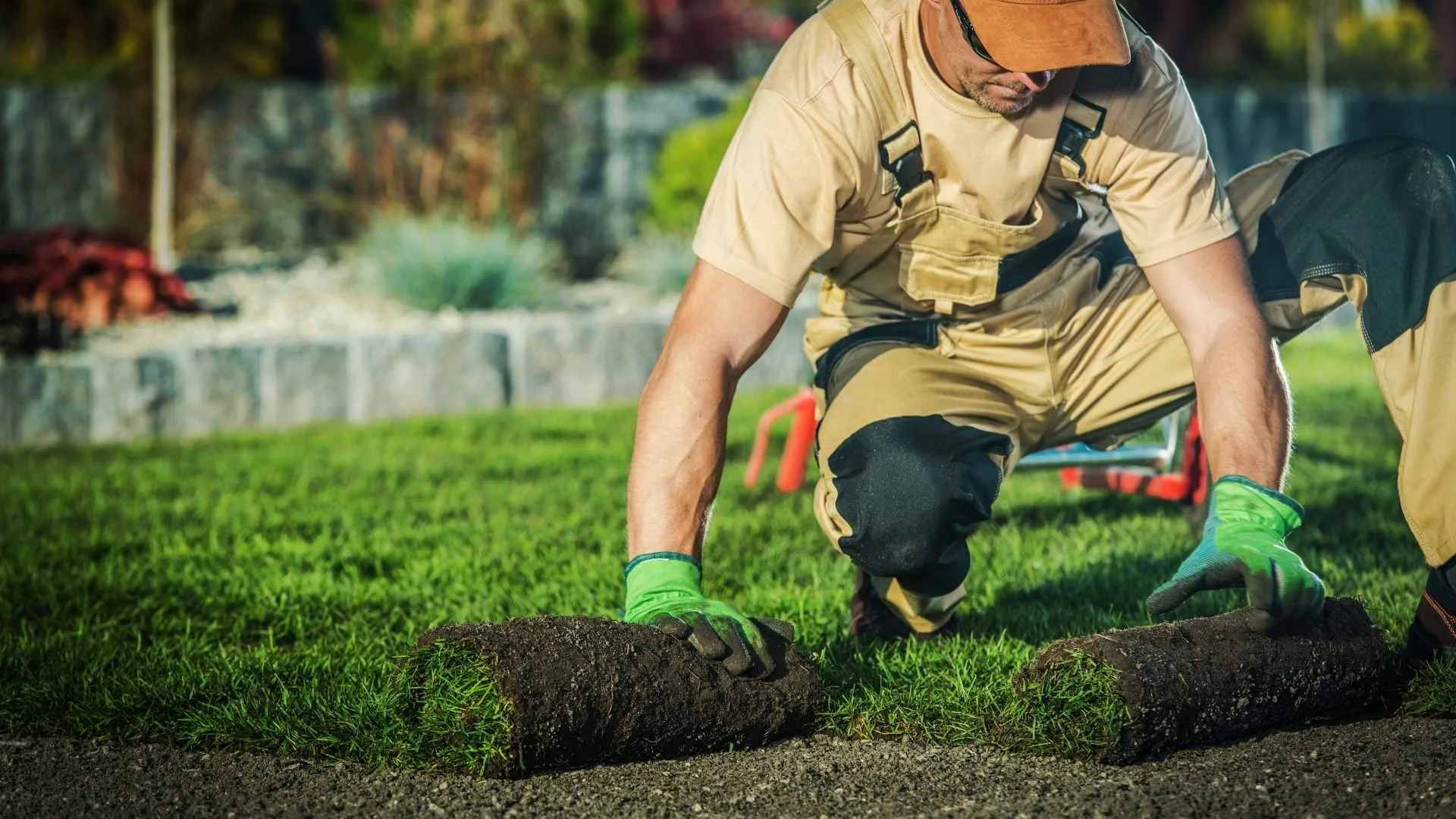 Professional Landscaping Services