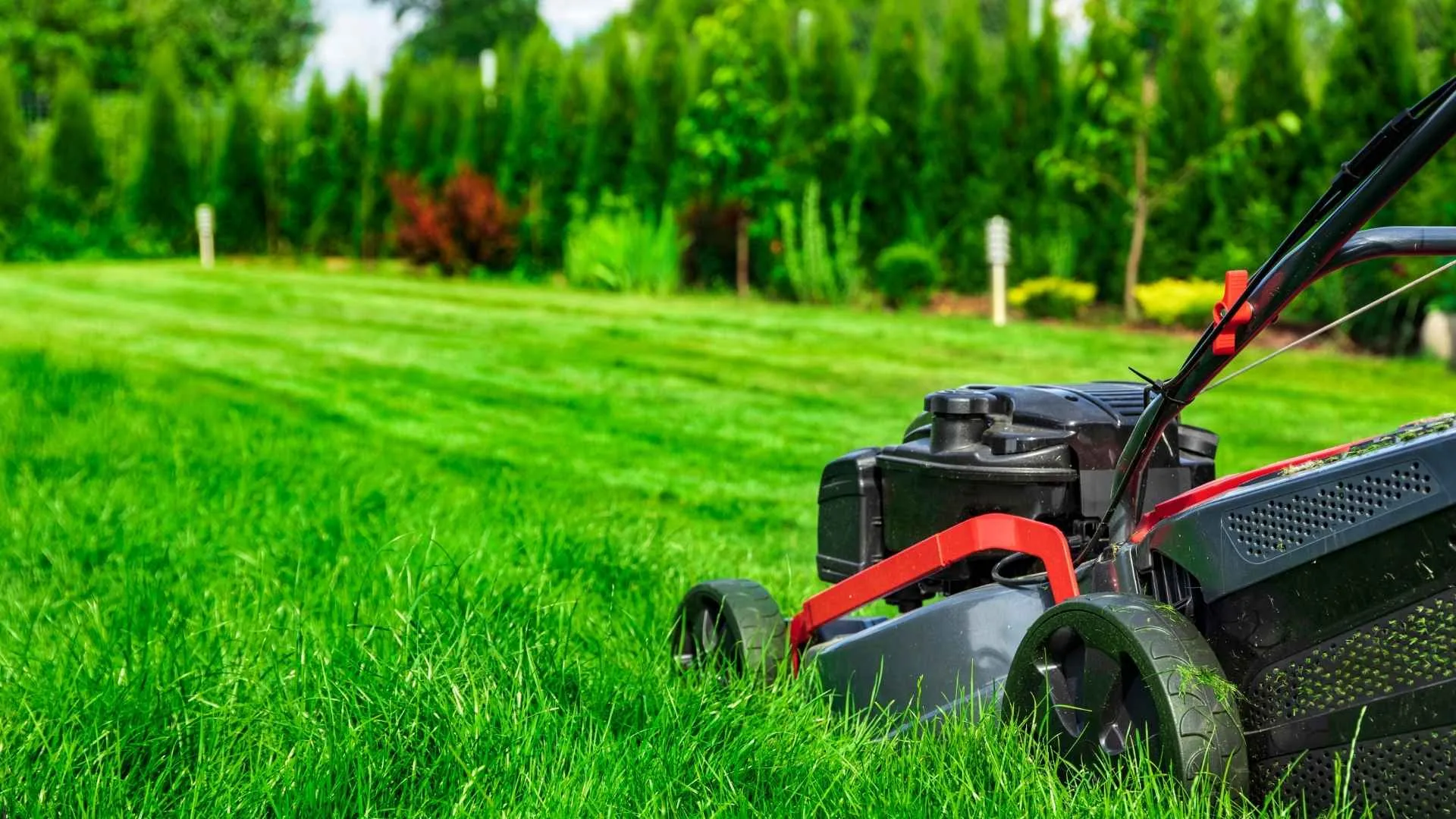 North Carolina Lawn Care Calendar