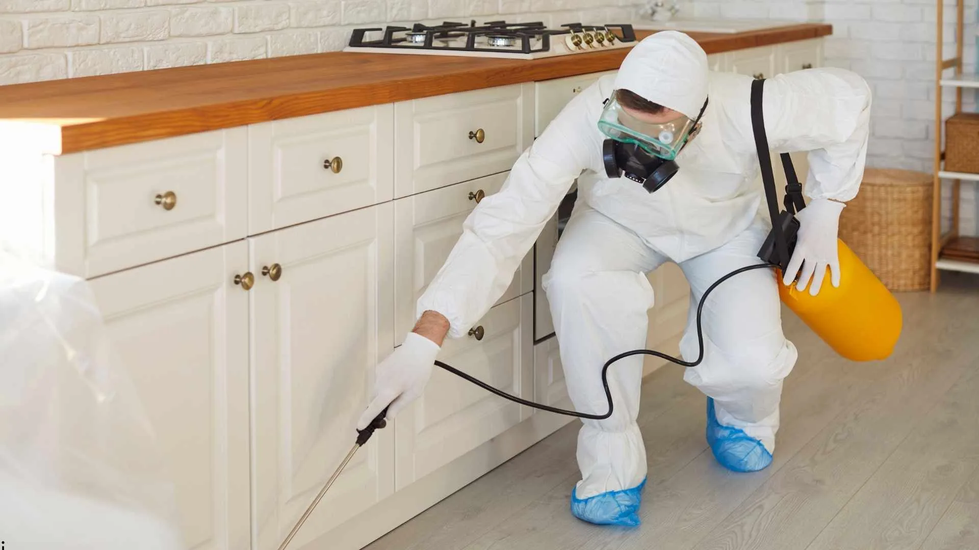 Year-Round Home Maintenance Tips for Pest Prevention