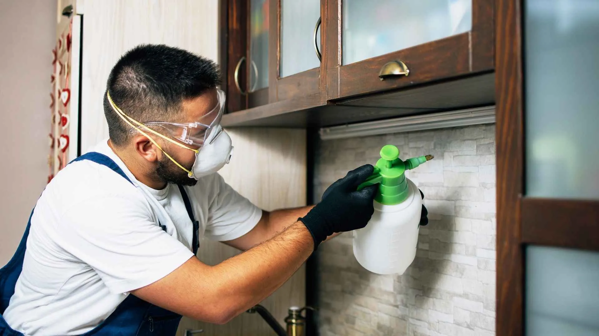Year-Round Home Maintenance Tips to Keep Pests Away 