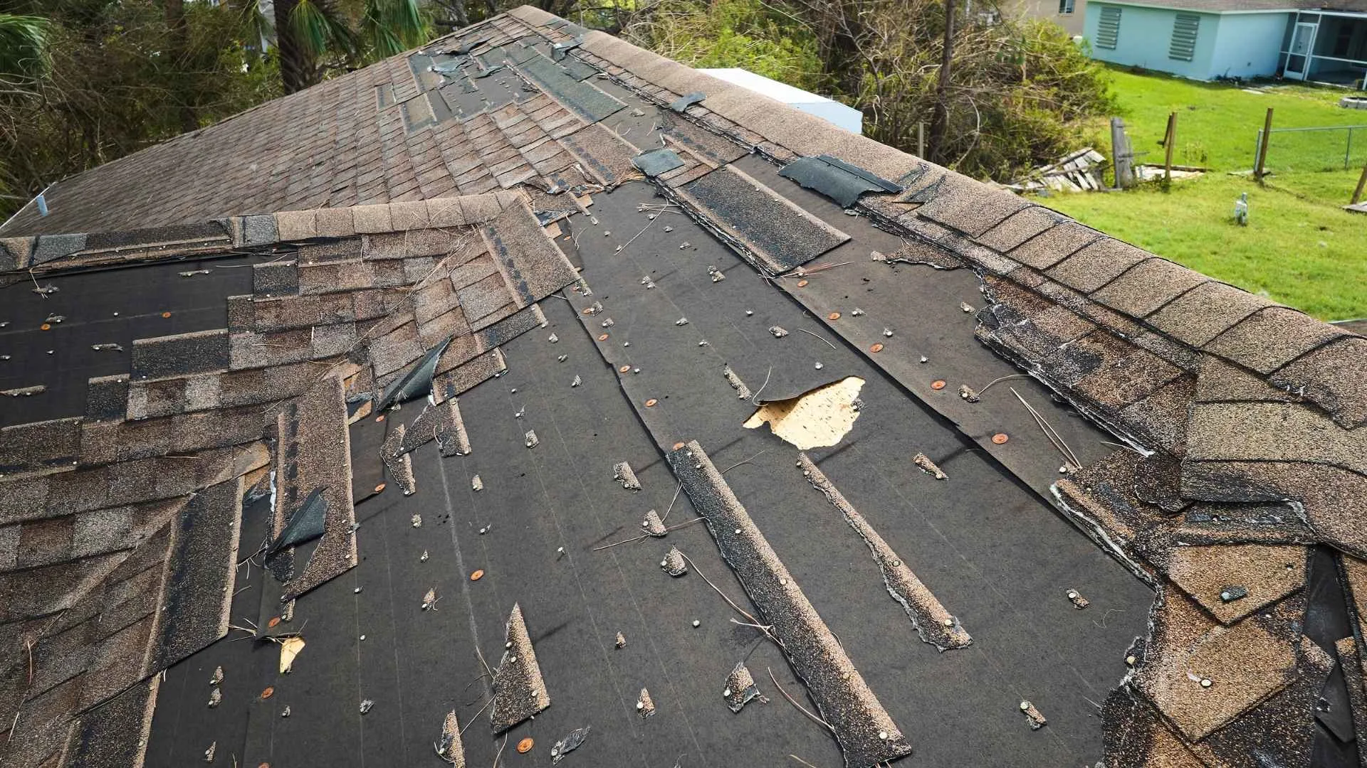 Wesley Chapel Florida Roof Care Guide