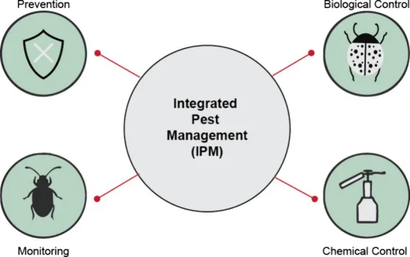 How Often Should You Really Get Interior Pest Control