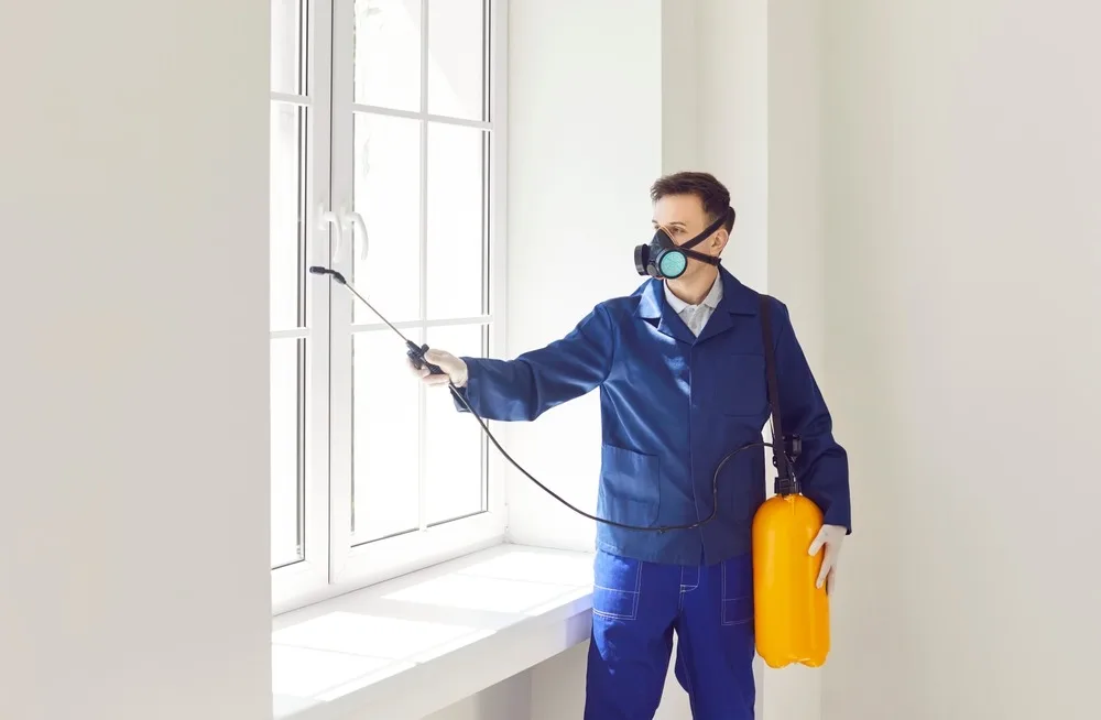 How Often Should You Really Get Interior Pest Control