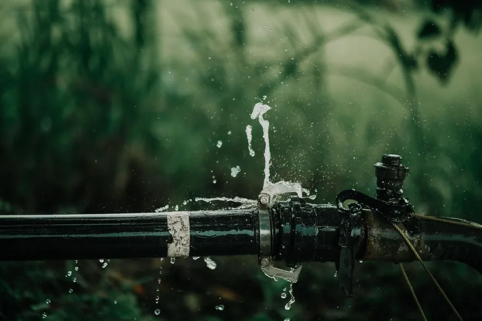 What to Do When Plumbing Trouble Hits Your Home