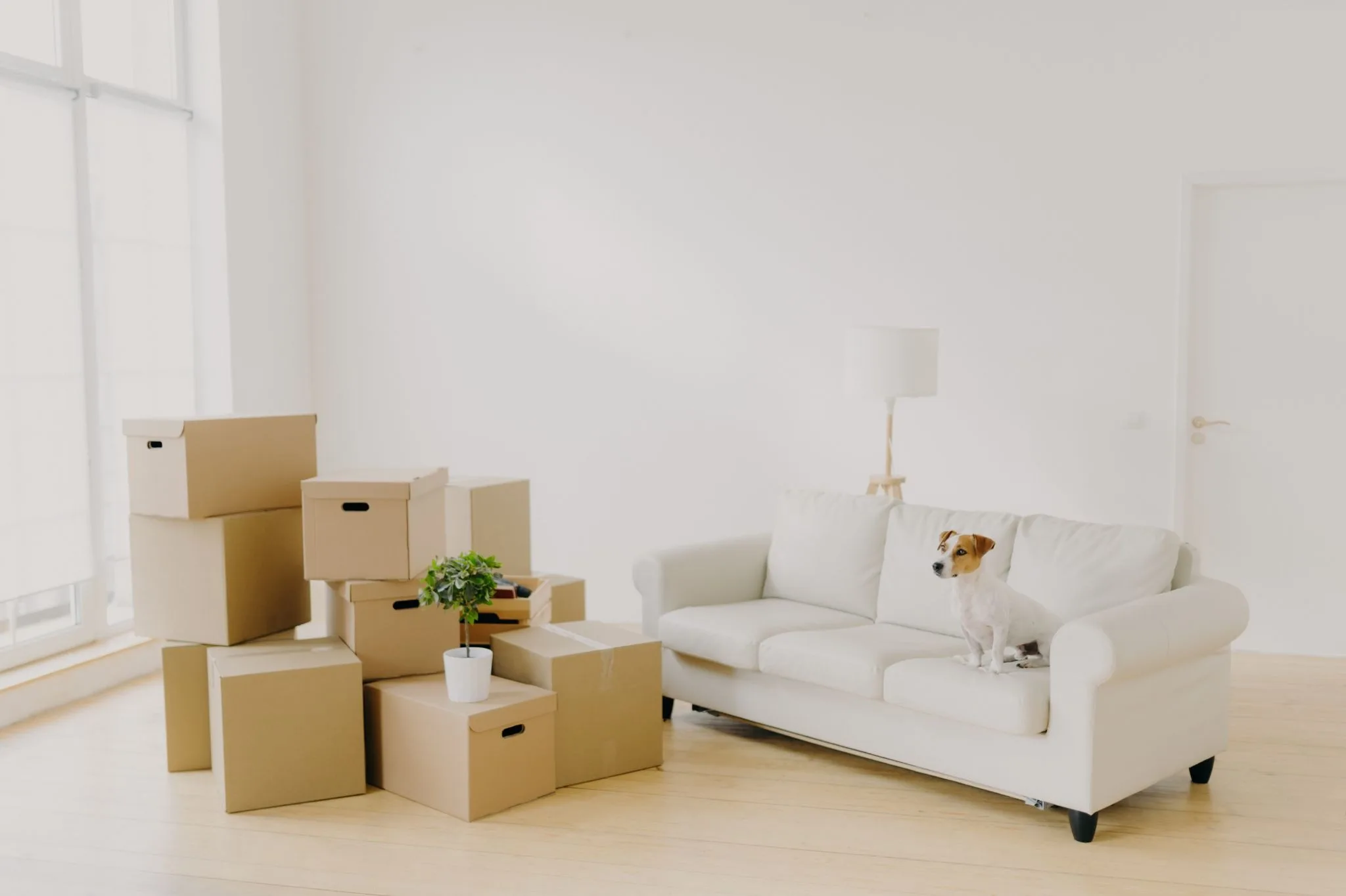 Sending Home Decor Abroad for a Room Refresh