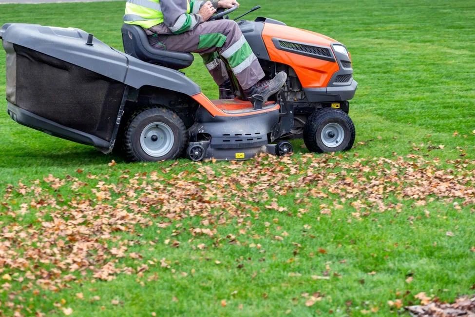 How to Maintain a Lush Lawn Throughout the Year