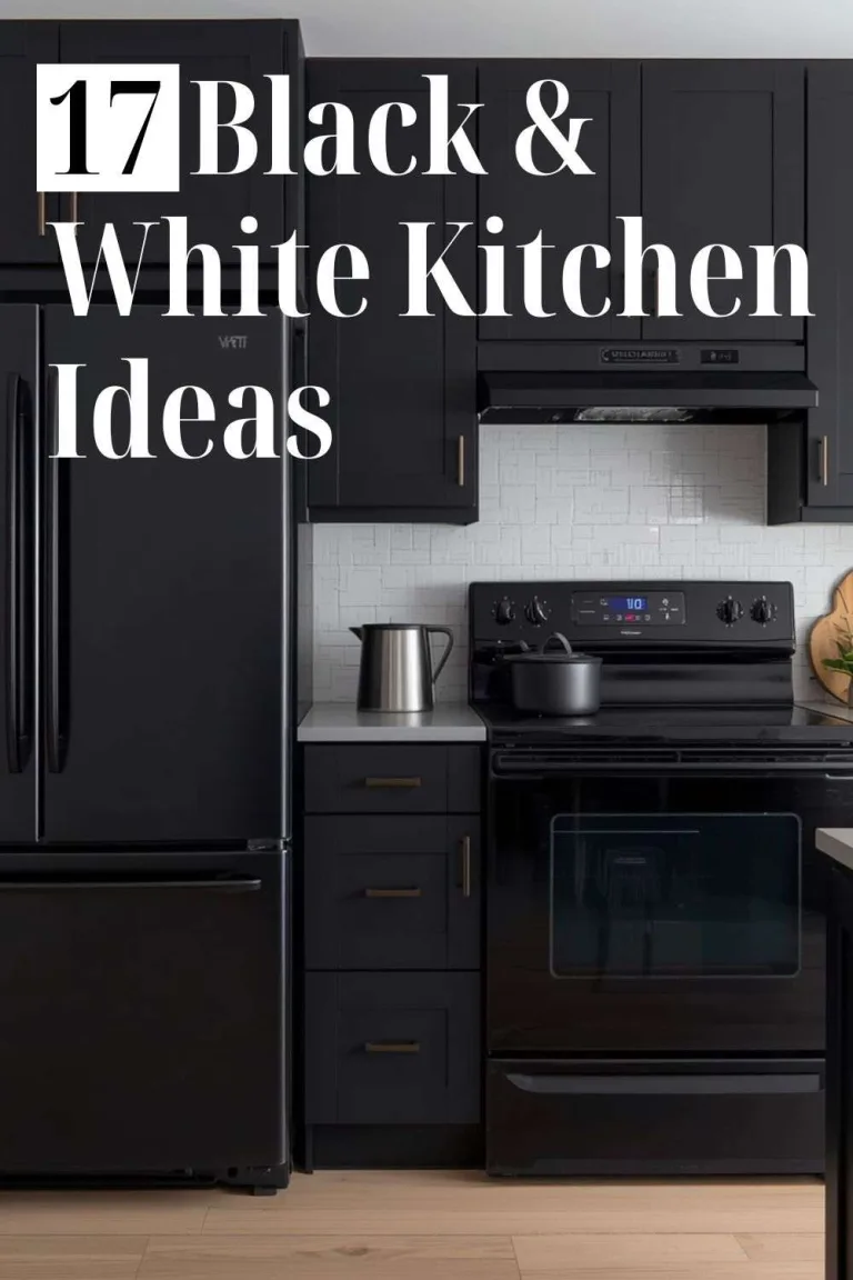 Black and White Kitchen Ideas