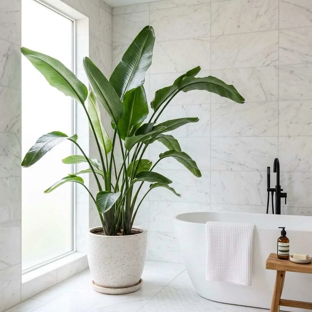 15 Bathroom Plant Decor Ideas That'll Transform Your Daily Routine 7 Style a Corner with a Tall Bird of Paradise Plant