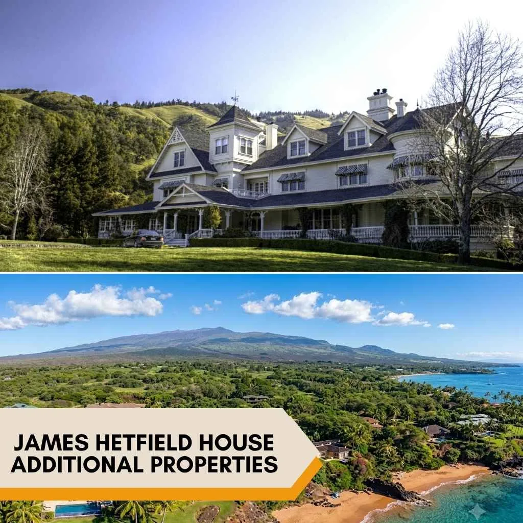 James Hetfield House: Inside His $27.5 Million Vail, Colorado Mansion 10 James Hetfield Additional properties