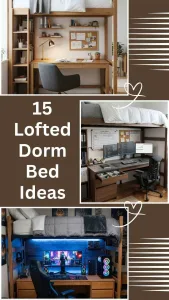 Lofted Dorm Bed Ideas