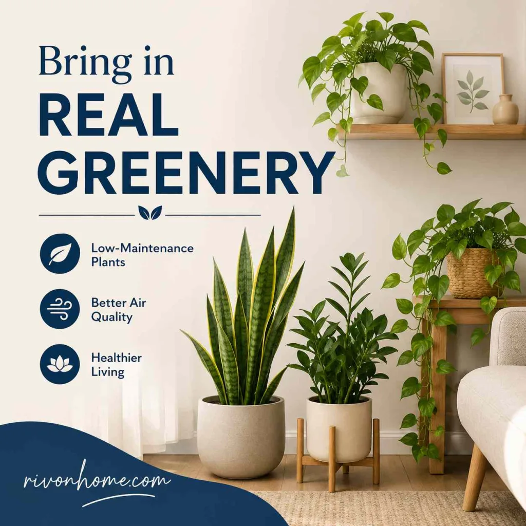 Interior Decoration Tips Bring in Real Greenery