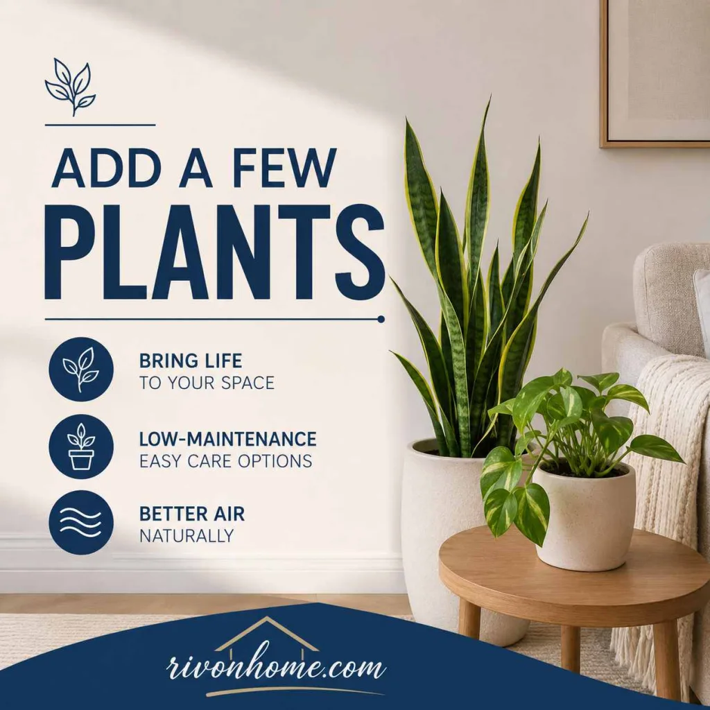 Upgrading Tips DecoradHouse Add a Few Plants